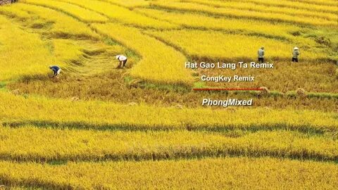 Hotspot Matrix - Giải Pháp Toàn Diện Cho Truyền Thông Số_Sự kiện Ma trận điểm nóng