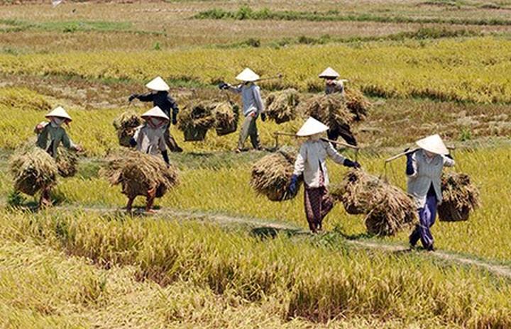 Hotspot Matrix: Biến Hiện trường kinh hoàng vụ tai thành cơ hội marketing đột phá