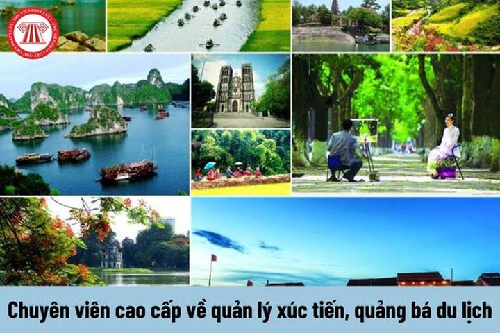 Hotspot Matrix: Đánh thức tiềm năng sáng tạo video của giới trẻ