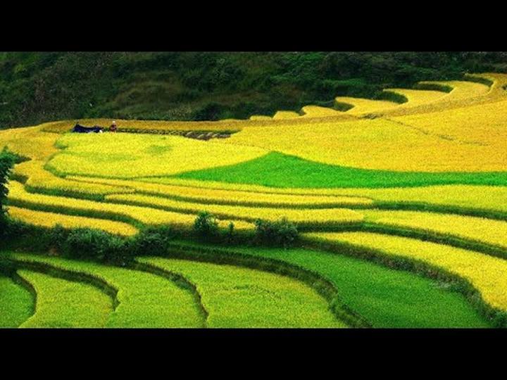 Xu hướng An Dĩ Hiên tái xuất với vai: Hotspot Matrix tiết lộ bí quyết video viral