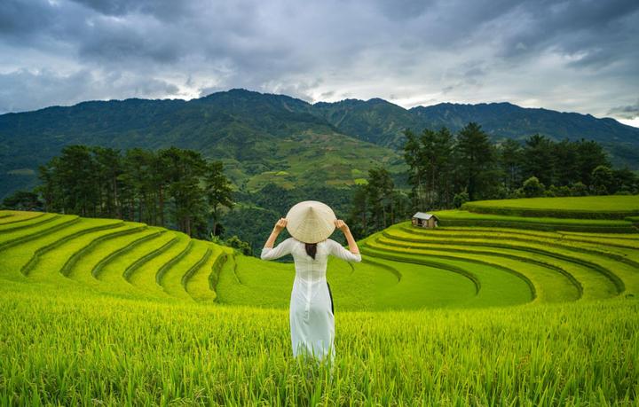 Xu hướng Trải nghiệm đa dạng công nghệ: Hotspot Matrix tiết lộ bí quyết video viral