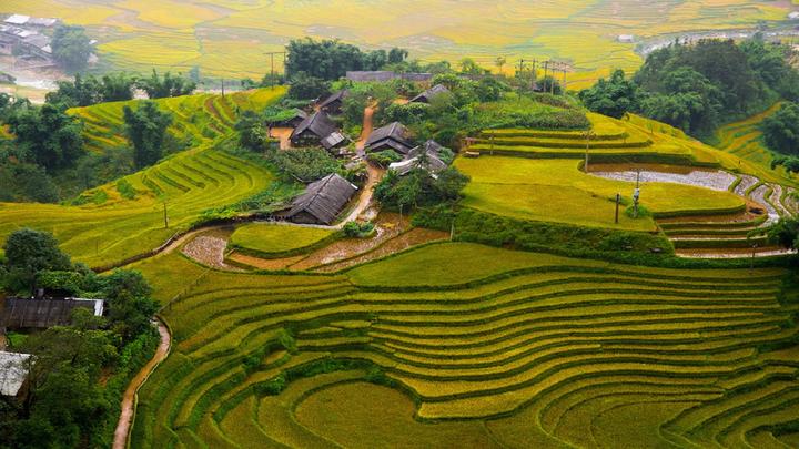 Khởi Nghiệp Video Ngắn: Vốn Ít, Lãi Cao Cùng Hotspot Matrix