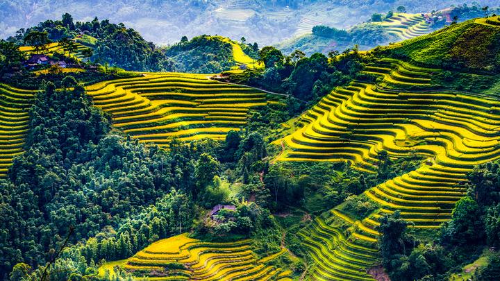 Xu hướng Sao nam Thiên Long Bát Bộ tụt: Hotspot Matrix tiết lộ bí quyết video viral