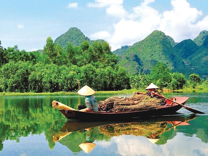 Triệu View Từ Vlog Thú Cưng: Bí Quyết Thành Công Cùng Hotspot Matrix