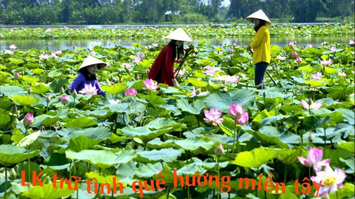Hotspot Matrix Sức mạnh kinh doanh thông qua xu hướng 