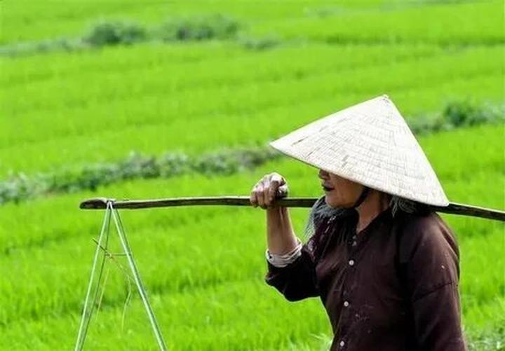 Chuyên gia Hotspot Matrix phân tích: 1 người vừa mua Labubu giá và marketing video