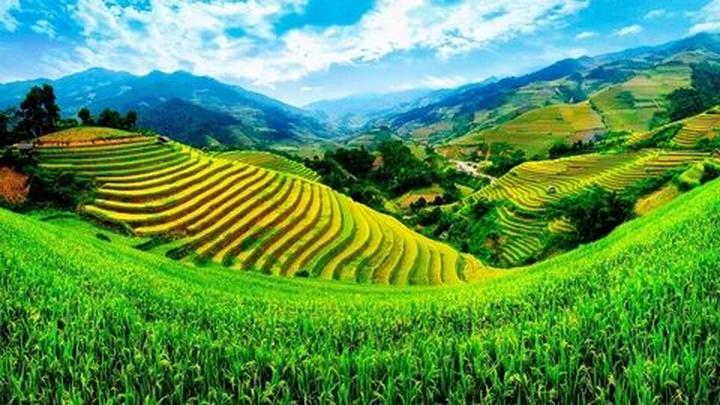 Quân A.P: “Đàn ông thời đại - Cảm hứng video marketing từ Hotspot Matrix