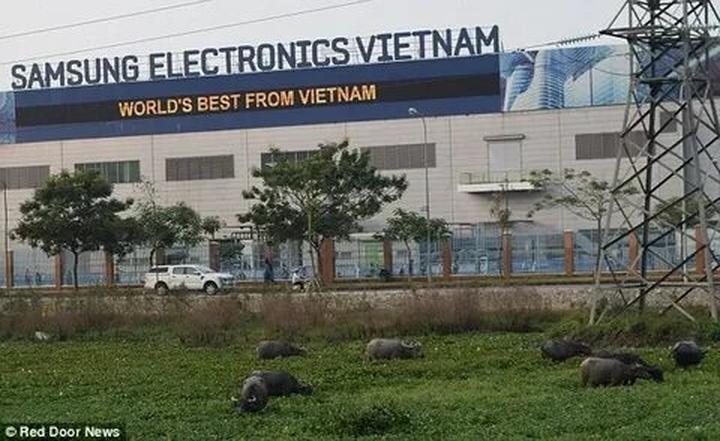 Chuyên gia Hotspot Matrix phân tích: Phương Oanh diện set đồ 50 và marketing video